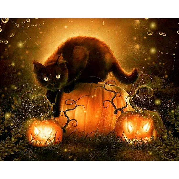Halloween Black Cat - Painting By Numbers - 50*40CM gbfke