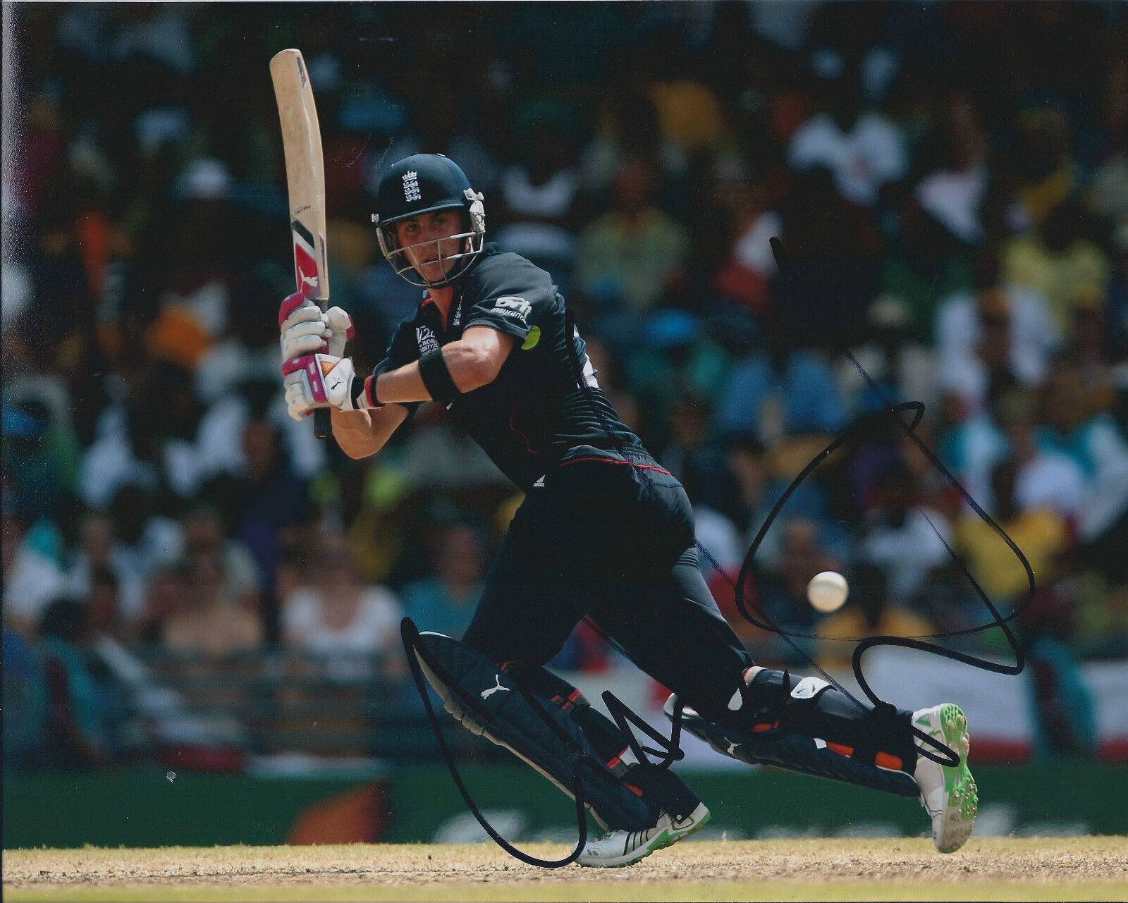 Craig KIESWETTER Signed Autograph 10x8 Photo Poster painting AFTAL COA England Cricket ASHES