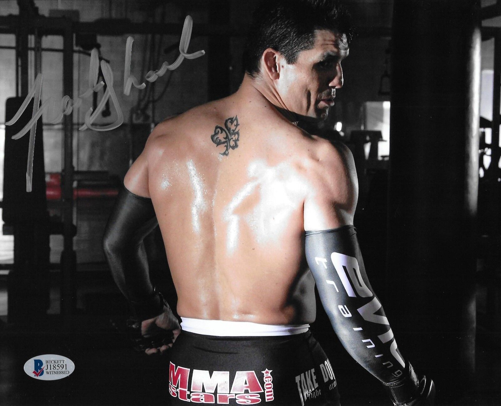 Frank Shamrock Signed 8x10 Photo Poster painting BAS Beckett COA UFC Legend Picture Autograph 22