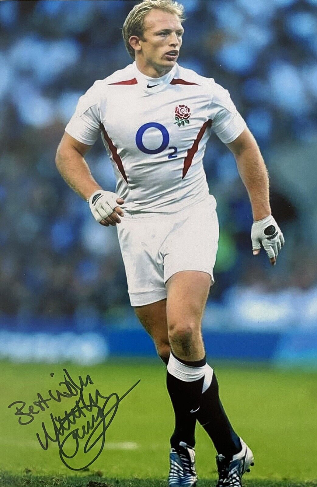 Matt Dawson Genuine Hand Signed England 12x8 Photo Poster painting