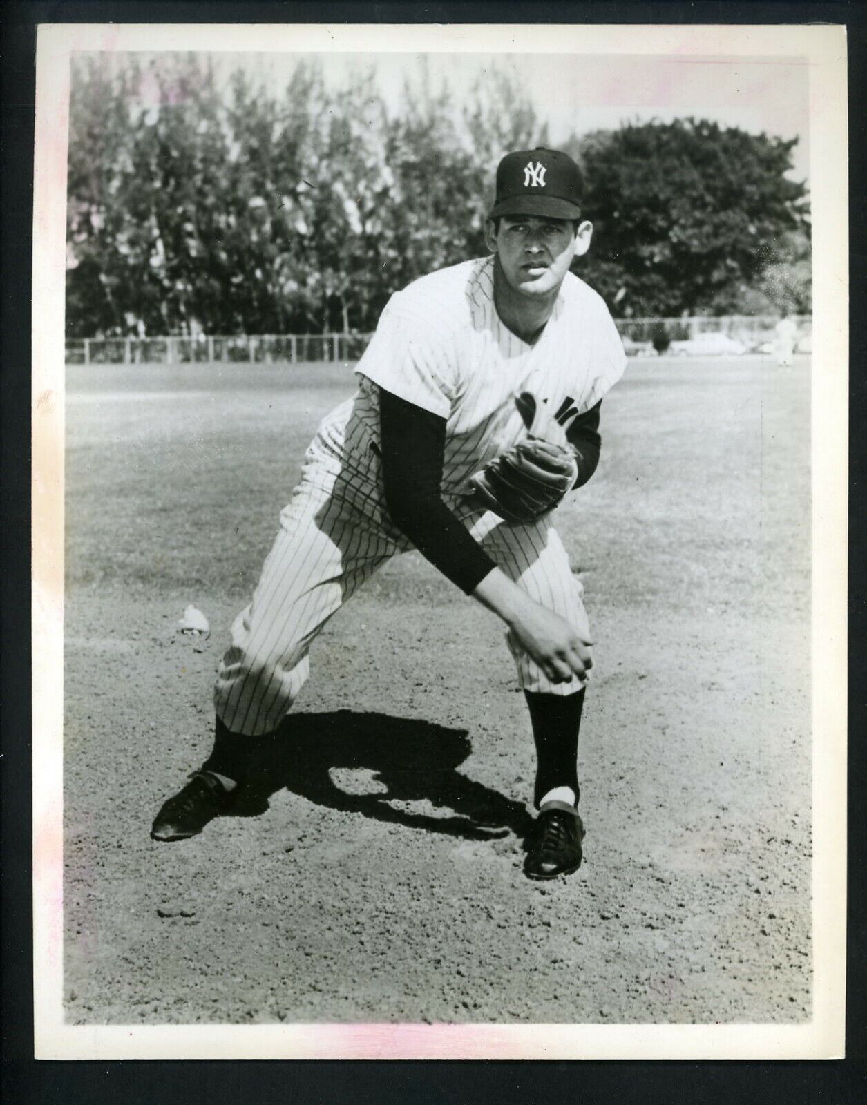 Don Larsen New York Yankees team issued circa 1950's Press Photo Poster painting