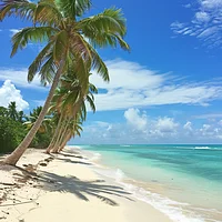 Palm Trees On The Tropical Beach - Diamond Painting