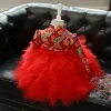 Kids Little Baby Girl Birthday Party Baptism Red Christmas Dress