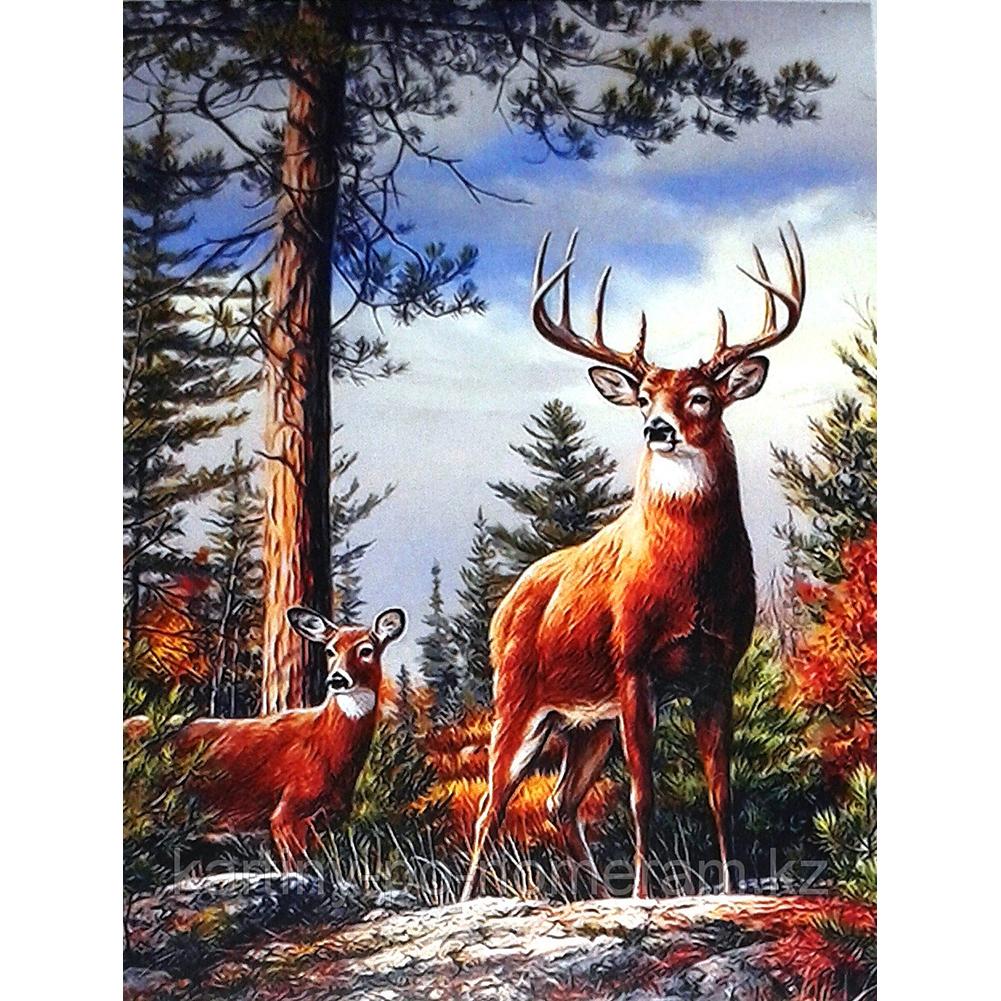

30*40CM - Elk - Round Drill Diamond Painting, 501 Original
