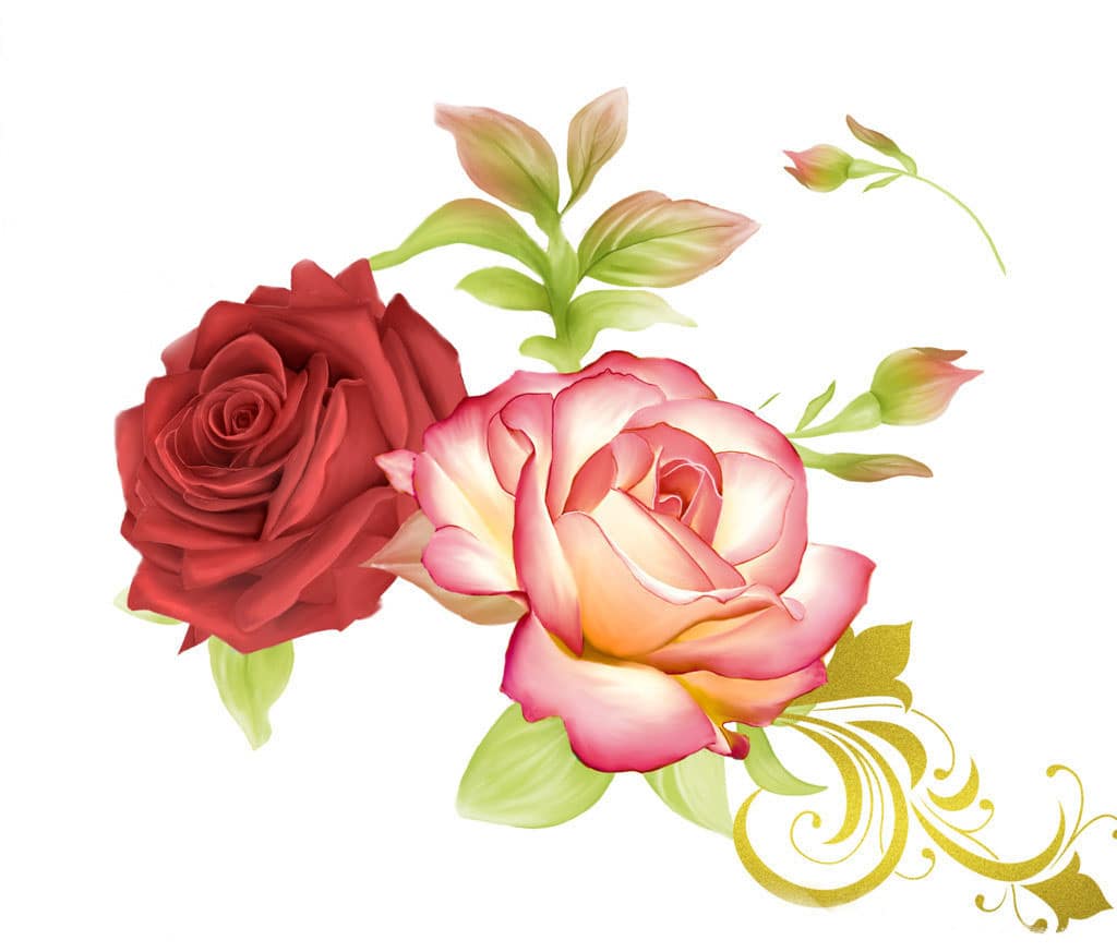 

Heirloom Roses – Paint By Numbers - 40*50CM, 501 Original