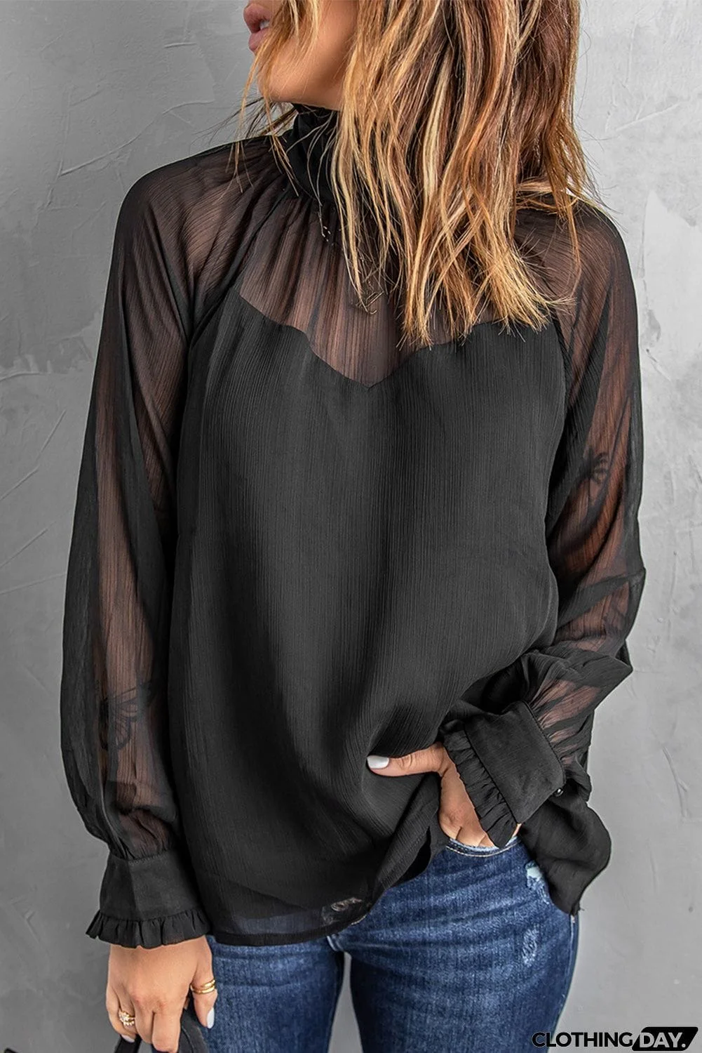 Sheer Ruffled Turtleneck Blouse