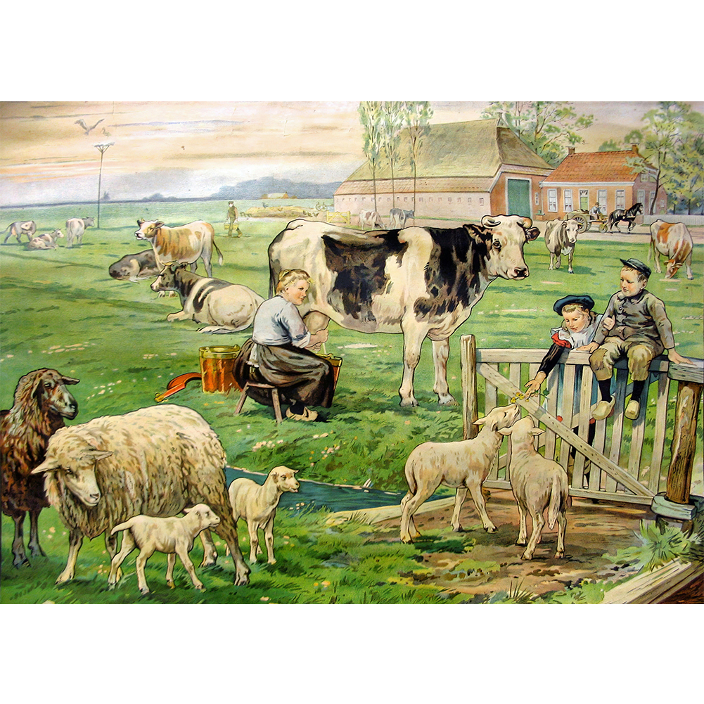 

Pasture - Round Drill Diamond Painting - 40*30CM, 501 Original