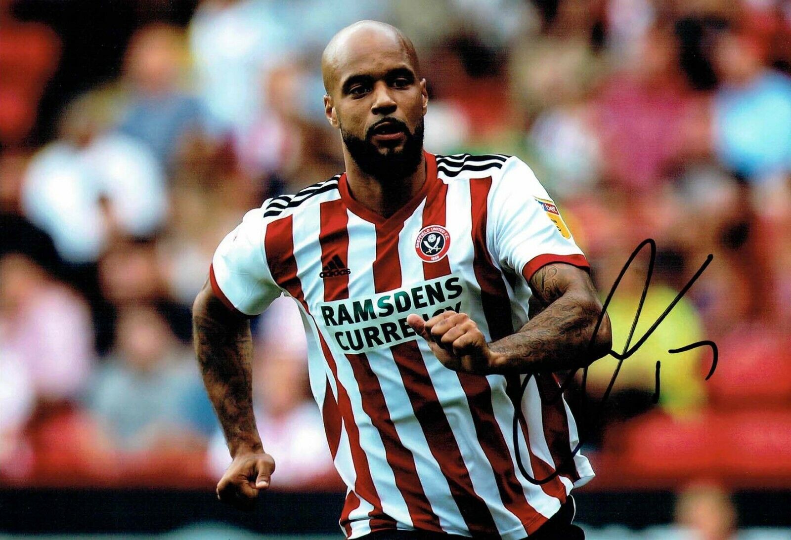 David McGOLDRICK Sheffield United Signed Autograph 12x8 Photo Poster painting 4 AFTAL COA SUFC