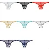 Men's Transparent Ultra-Thin Mesh Low-Waist Sexy Briefs