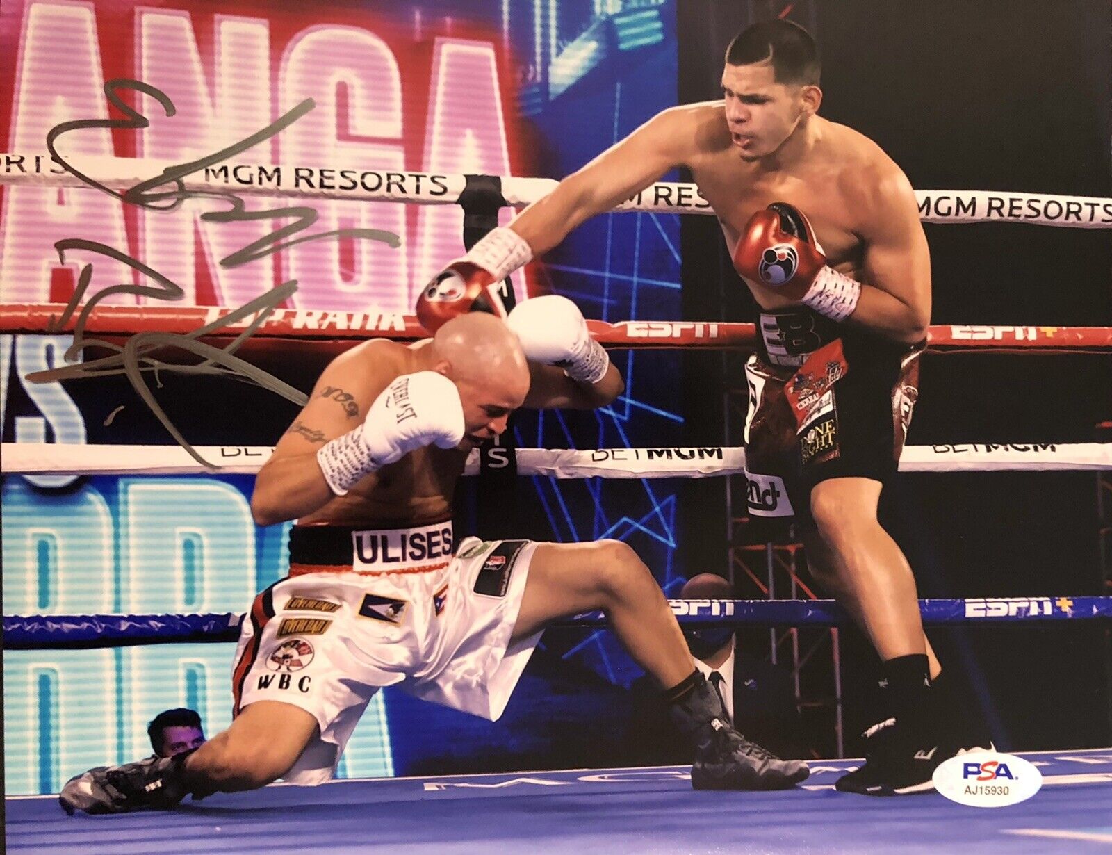 Edgar Berlanga Signed Autographed Boxing Knock Out King 8x10 Photo Poster painting PSA/DNA
