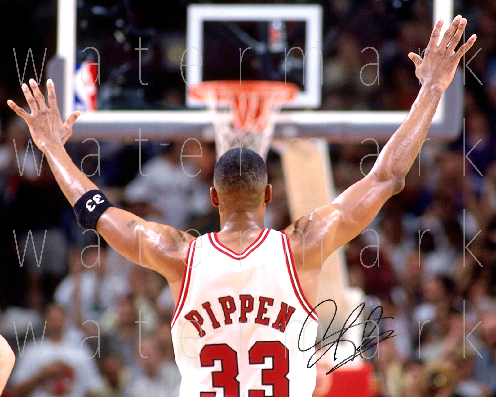 Scottie Pippen Chicago Bulls signed 8X10 inch Photo Poster painting picture poster wall art rp