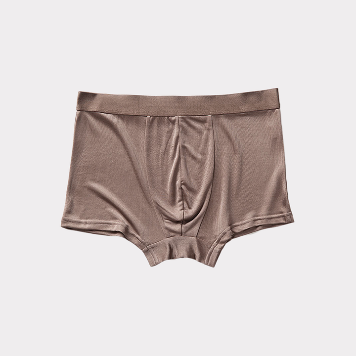 Boxer en soie respirants en soie sous-vêtements homme- SOIE PLUS