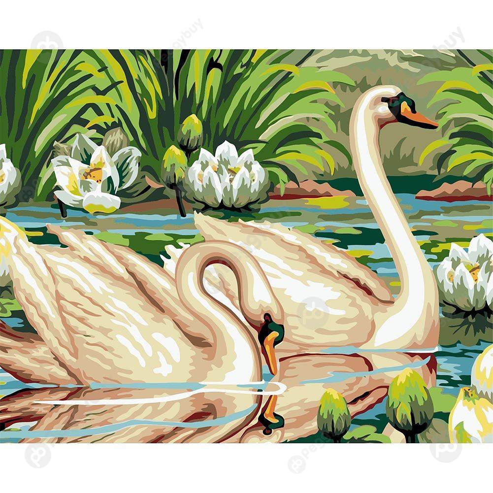 

40*50CM Paint By Numbers-Swans, 501 Original