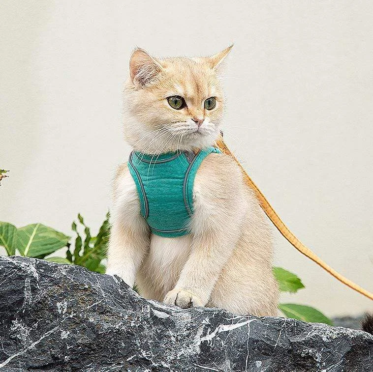 Escape Proof Cat Harness Vest & Leash