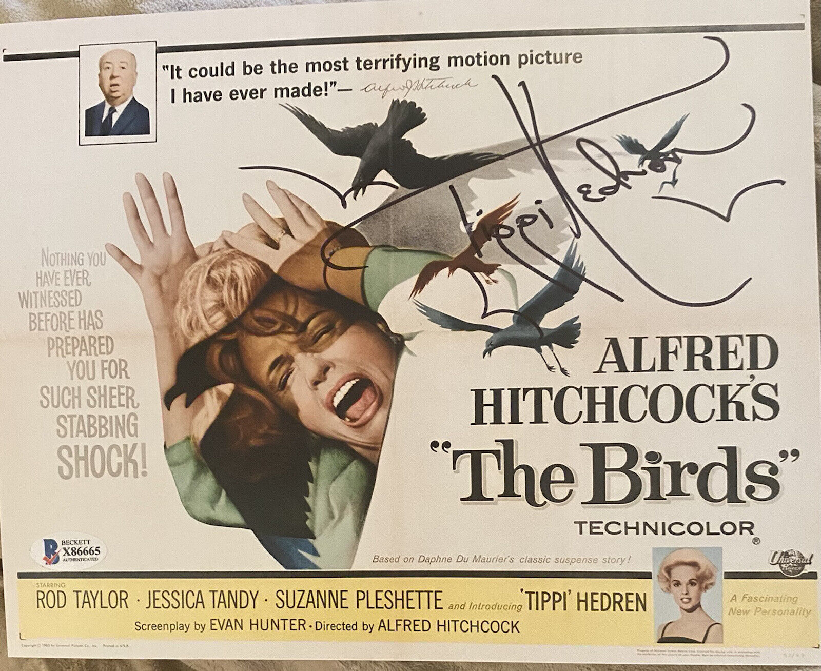 Tippi Hedren The Birds Signed Autographed 8x10 Photo Poster painting Beckett Authenticated?