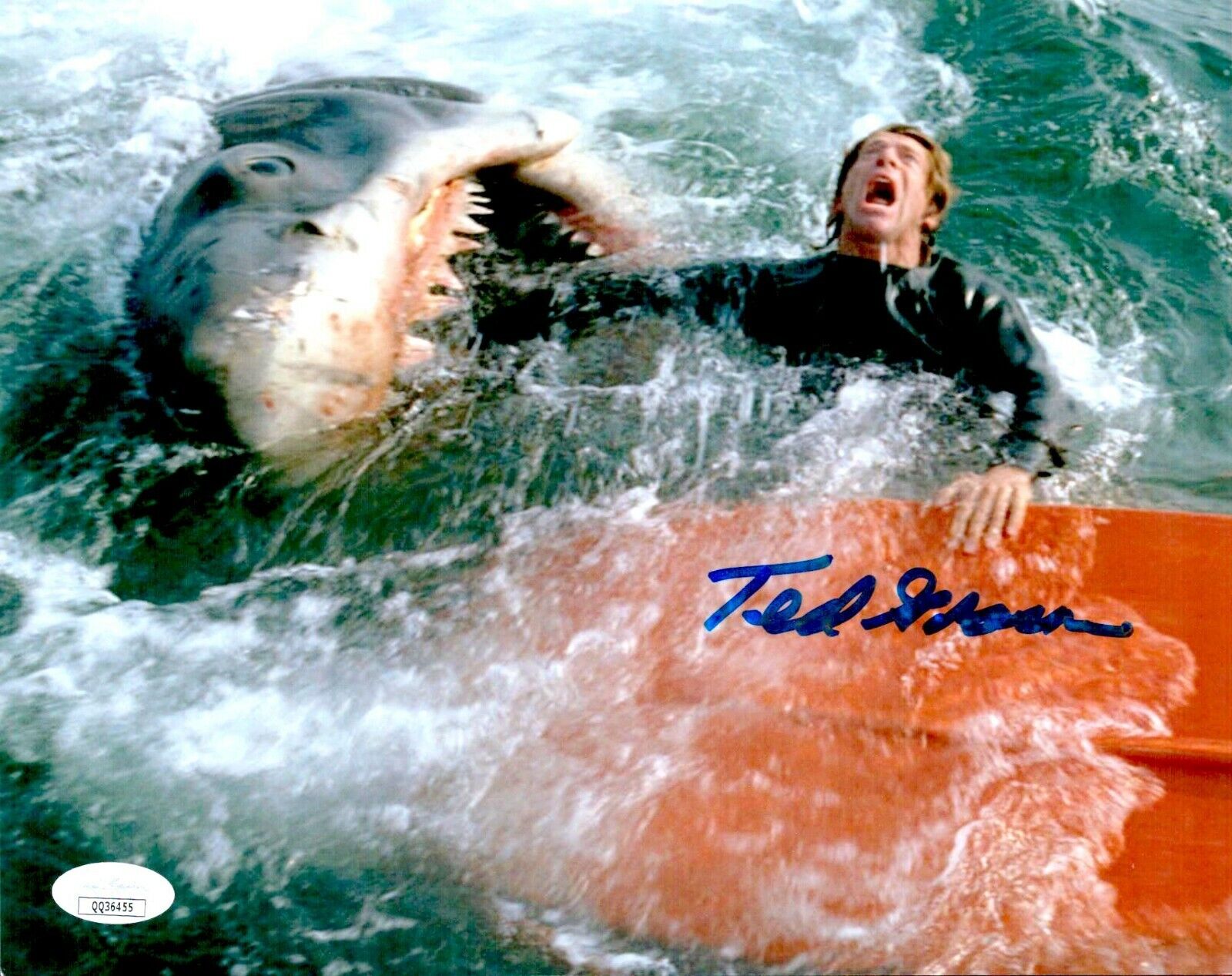 TED GROSSMAN Signed 8x10 Photo Poster painting JAWS GOONIES In-Person Autograph JSA COA Cert