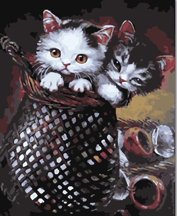 

Basket Licking Kitten Cat – Paint By Numbers - 40*50CM, 501 Original