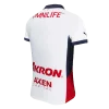 Chivas Away Soccer Jersey 2024/25