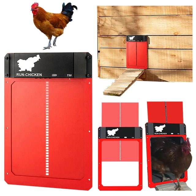 (🎉Flash Sale🎉- 60% OFF)-Automatic Chicken Coop Door