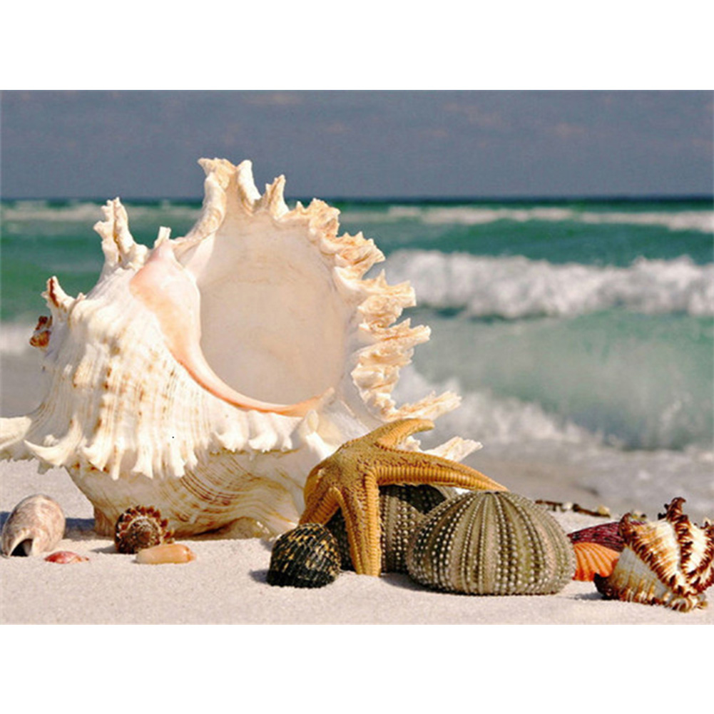 

Seashore Shell - Round Drill Diamond Painting - 40*30CM, 501 Original