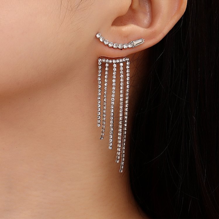 women's zircon tassel earrings