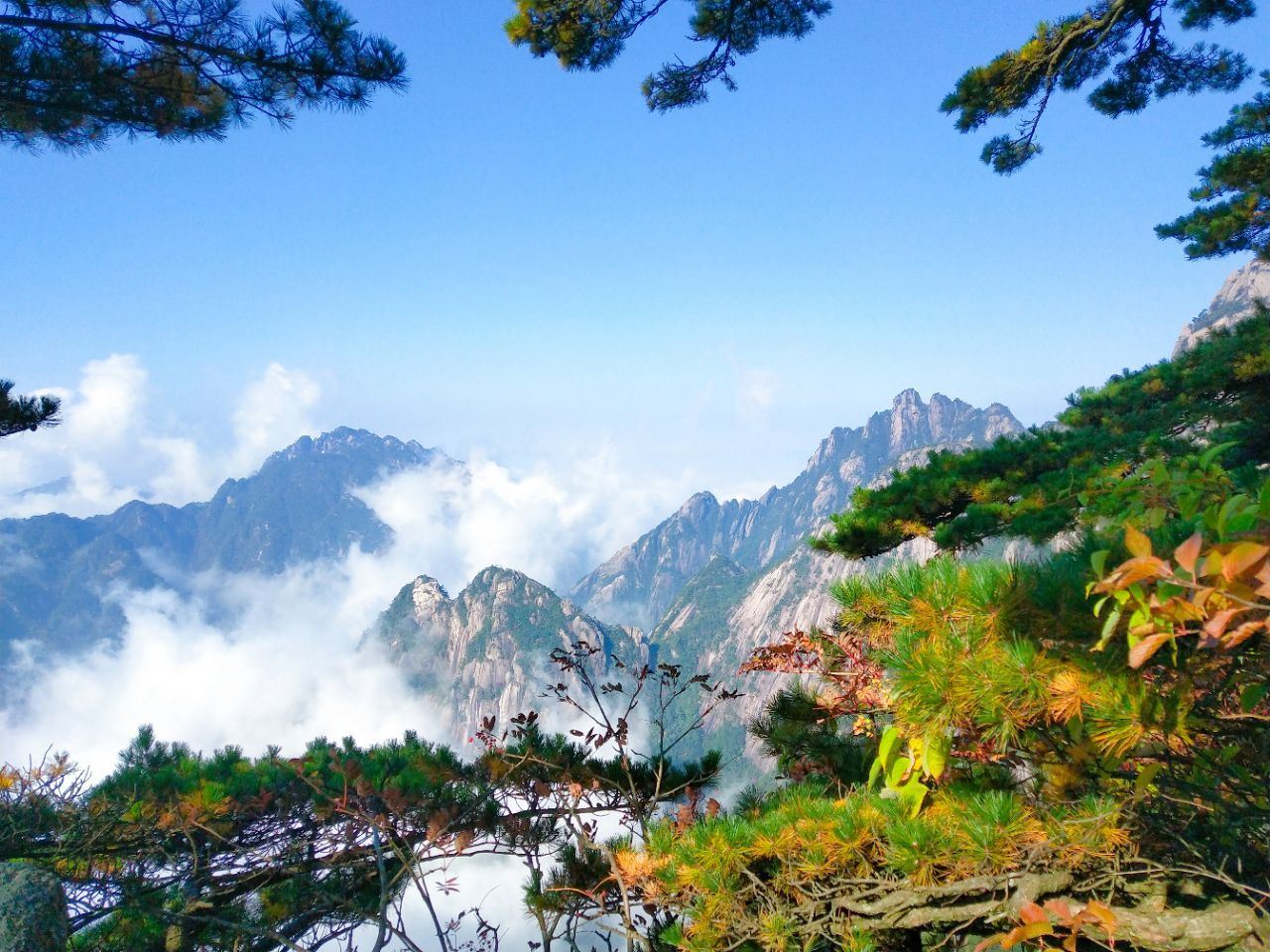 7 Days Shanghai Tour from China  to Huangshan
