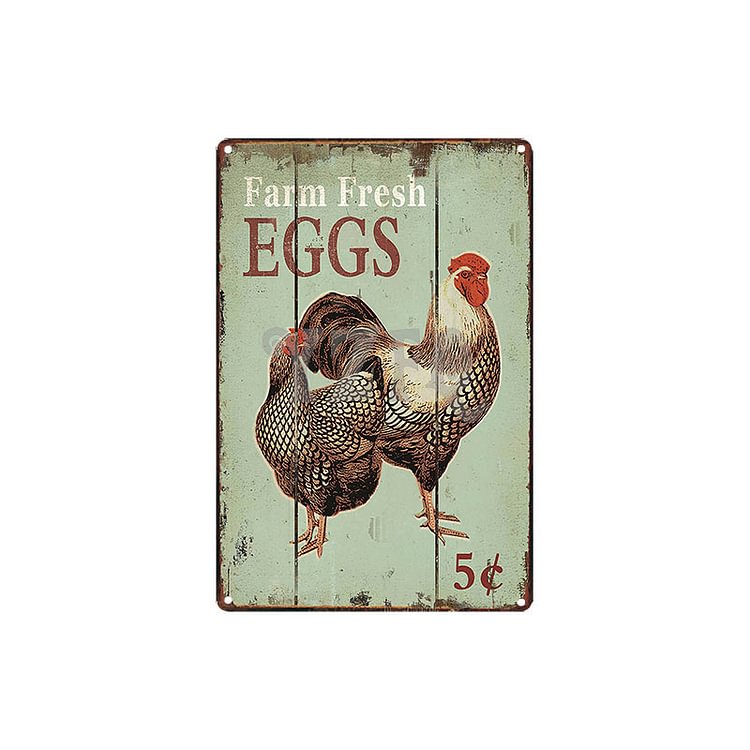 Chicken - Farm Fresh Eggs Vintage Tin Signs/Wooden Signs - 7.9x11.8in & 11.8x15.7in