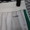 Joyfball 2026 Player Version Algeria National Team Home Football Shorts