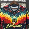 25/26 Am&eacute;rica Soccer Jersey Second Away