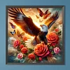 Eagle-Peinture Diamant Perceuse Ronde-40*40CM