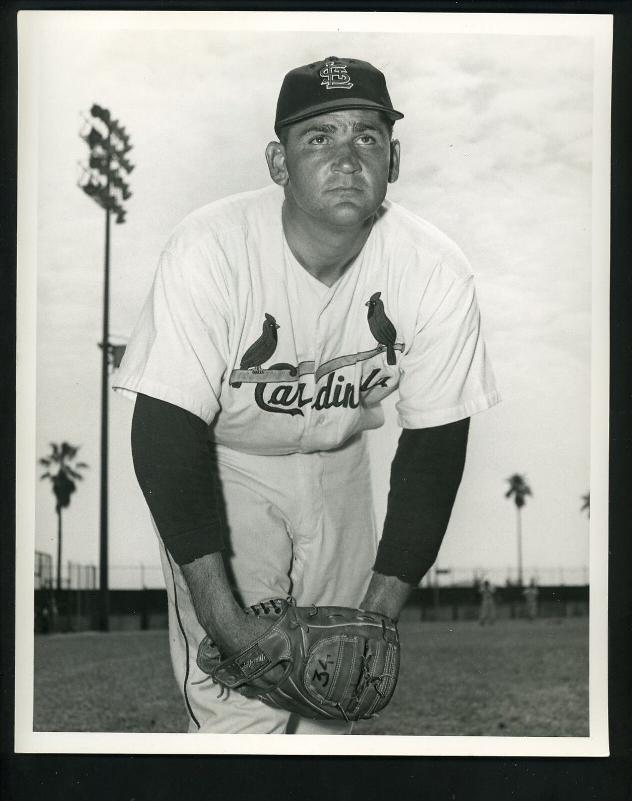 Alex Kellner 1959 Don Wingfield 8 x 10 Press Photo Poster painting St. Louis Cardinals