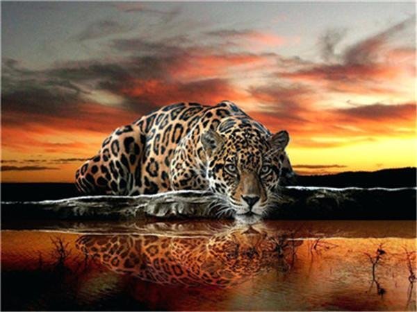 Animal Leopard Paint By Numbers Kits UK For Adult Y5403