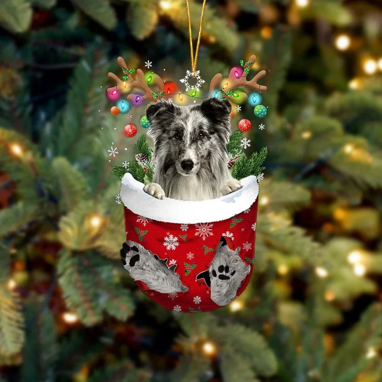 Shetland Sheepdog 1 In Snow Pocket Christmas Ornament trabladzer