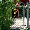 Bab Marley Singer - Metal Tin Signs(8*12Inch/12*16Inch)