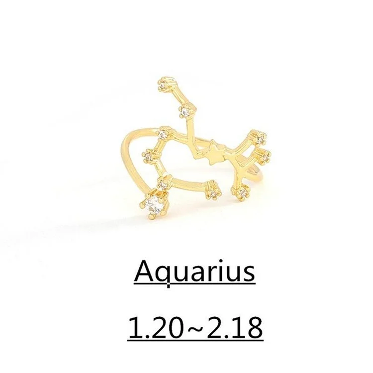 Birthday Gift 12 Constellation Ring Horoscope Women Cubic Zirconia Rings