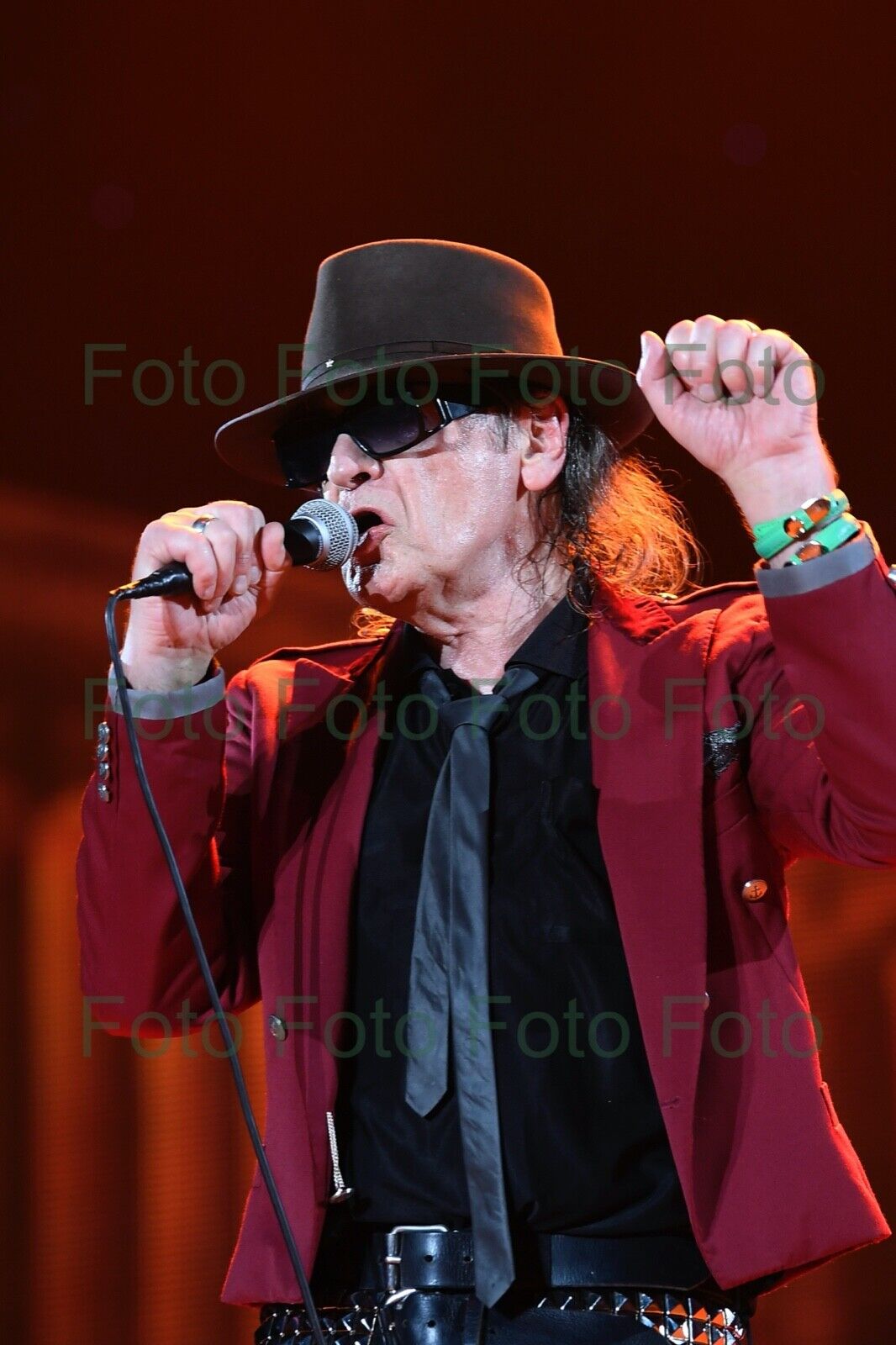 Udo Lindenberg Rock Music Painter Photo Poster painting 20 X 30 CM Without Autograph (Be-48