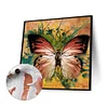 uk.everydayedeals (Limited Stock)Paint By Number - Oil Painting -  Butterfly (40*40Cm)