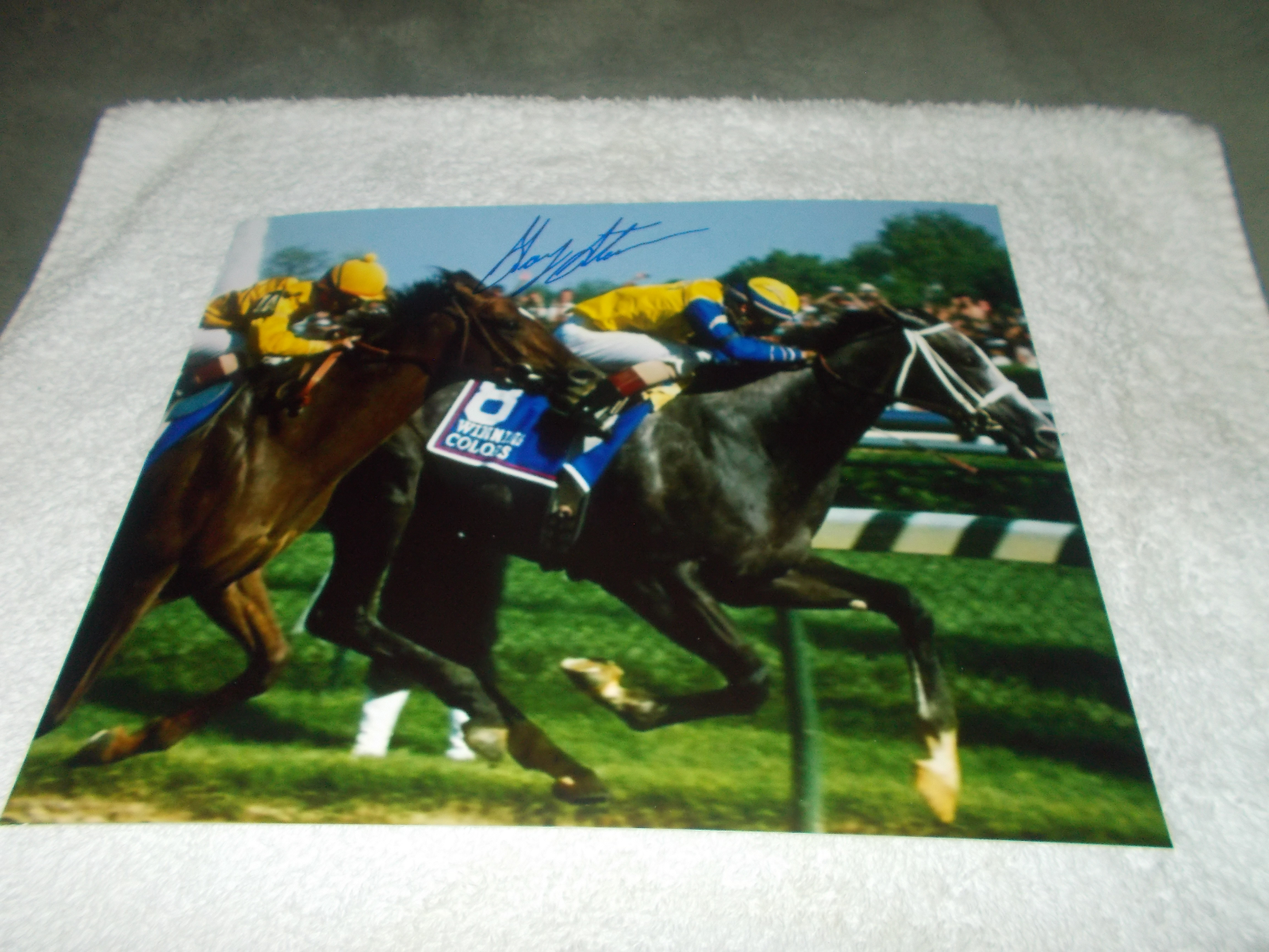 GARY STEVENS WINNING COLORS SIGNED 1988 KENTUCKY DERBY 8x10 HORSE RACING Photo Poster painting