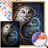 （AB/Round Drills)Owl-Full Diamond Painting 40*55CM