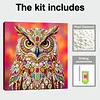 DIY Pearl Painting Owl for Home Wall Decor with Frame(25x25cm)