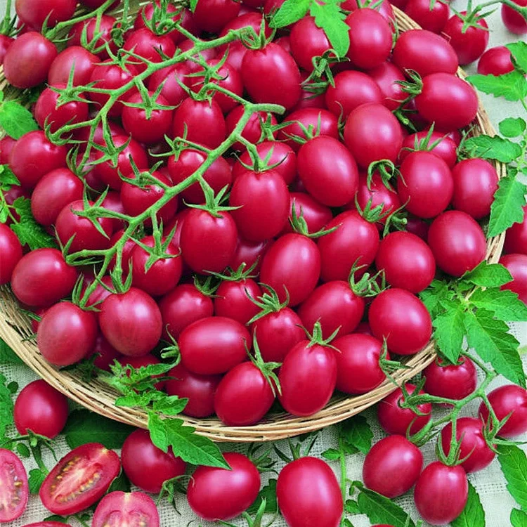 Tomato Cherry Pink Grape