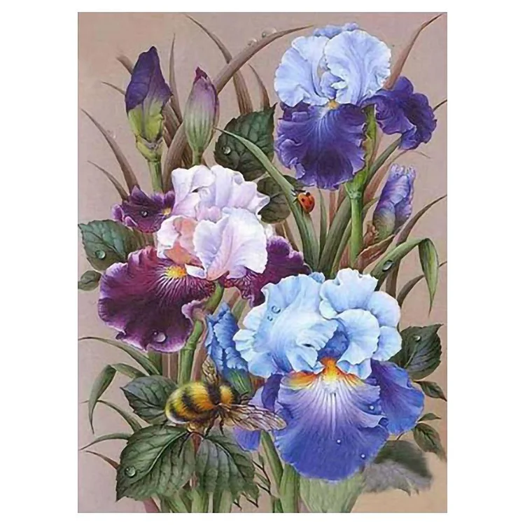 Color Flower - 11CT 3 Strands Threads Printed Cross Stitch Kit - 40x50cm(Canvas)