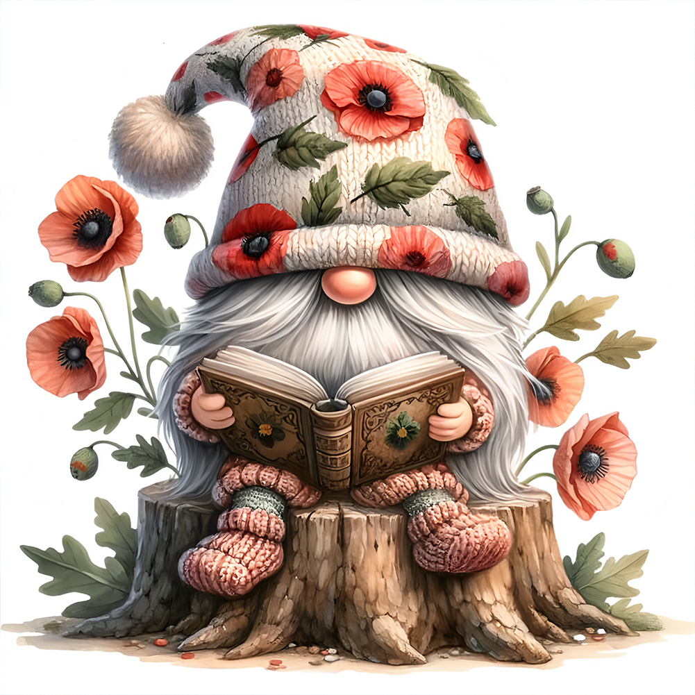 Gnome 30*30cm(canvas) full round drill diamond painting
