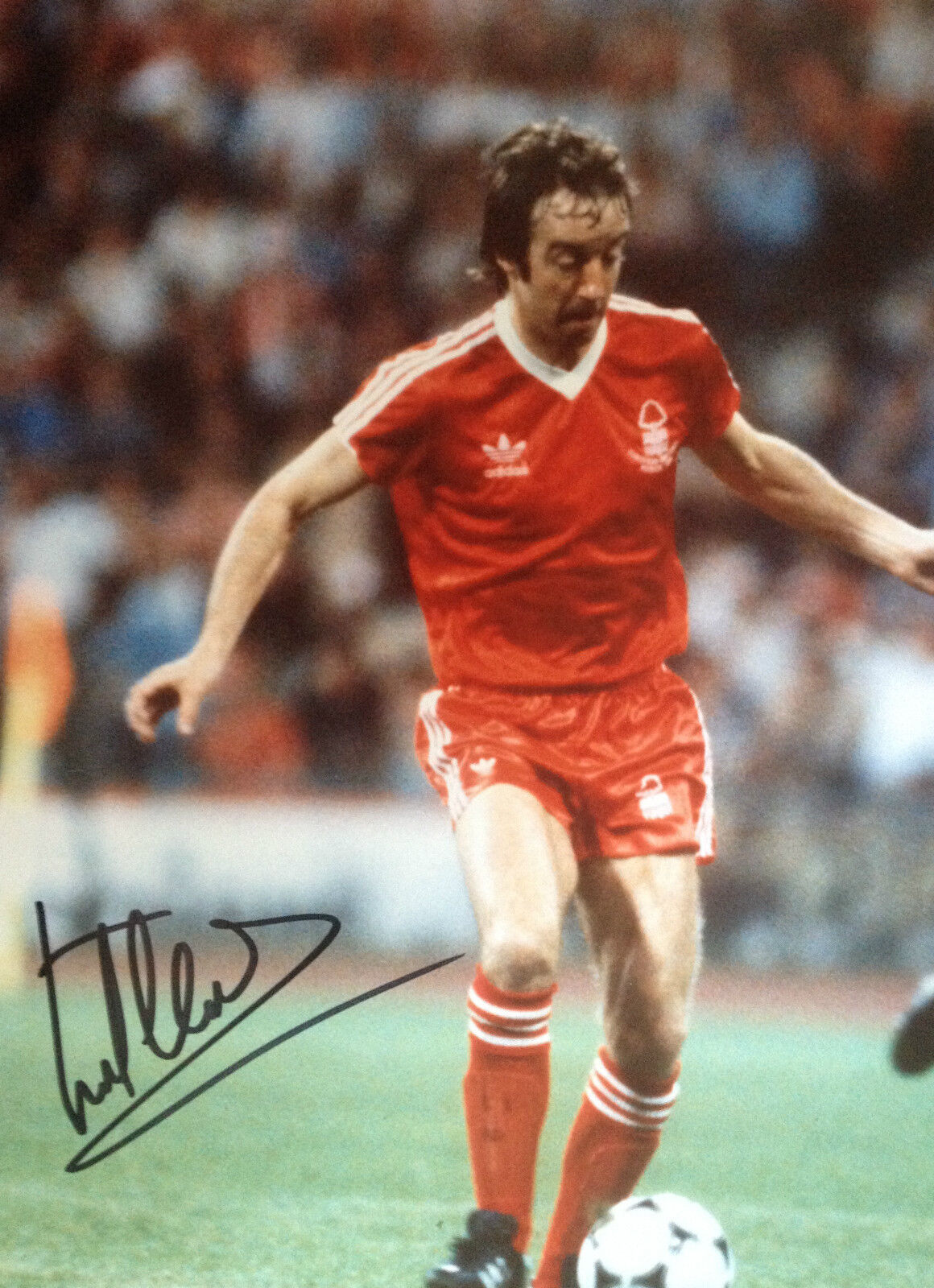 FRANK CLARK - NOTTINGHAM FOREST LEGEND - SIGNED COLOUR ACTION Photo Poster paintingGRAPH