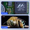 500X Handheld Magnification Digital Microscope LED 2MP HD Electronic Magnifier