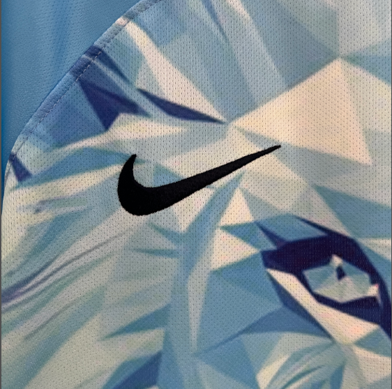 2024 Netherlands Special Edition Football Shirt Thai Quality