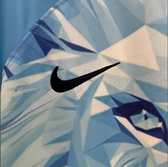 2024 Netherlands Special Edition Football Shirt Thai Quality