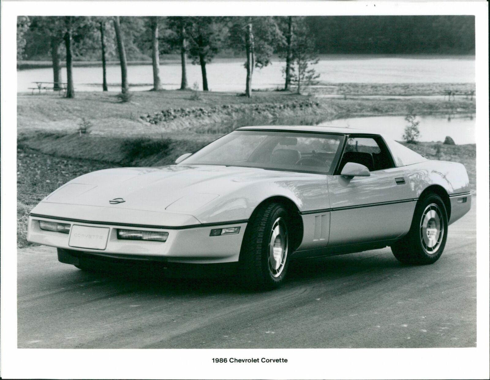 1986 Chevrolet Corvette - Vintage Photo Poster paintinggraph 5877237