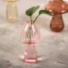 Vases en verre transparent Cactus et champignons