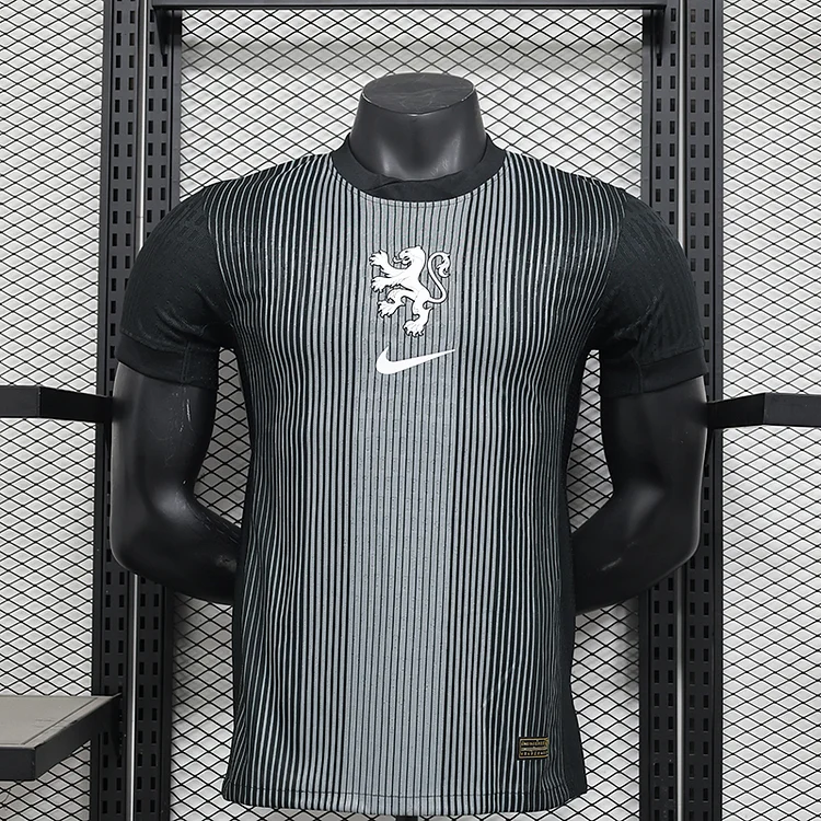 Player 25/26 Netherlands National Team Black Goalkeeper Jersey